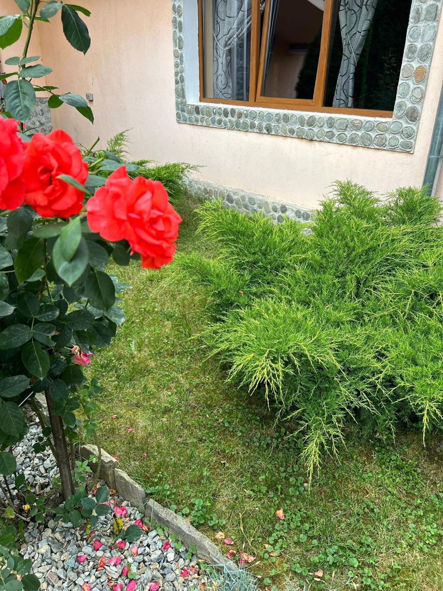 Pensiunea Casa Nina Cîrţişoara Exterior foto